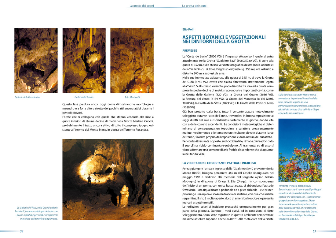 Studio Goina, grafica, fotografia, formazione. Volume "La grotta dei sogni", grafica di Massimo Goina.