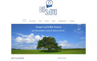 Studio Goina, grafica, fotografia, formazione. Biosuono.com, grafica e fotografie di Massimo Goina